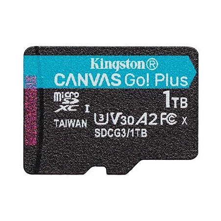 Kingston Canvas Go! Plus - Tarjeta de memoria flash