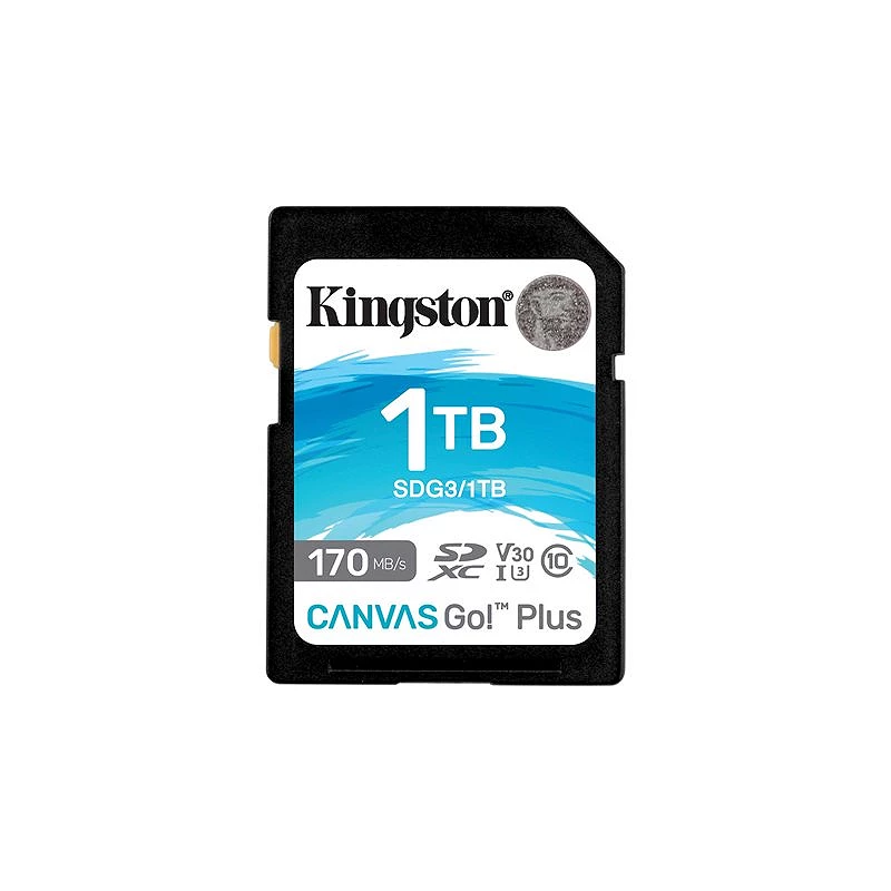 Kingston Canvas Go! Plus - Tarjeta de memoria flash