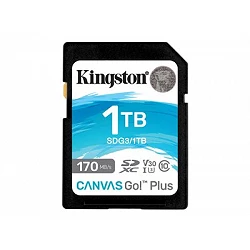 Kingston Canvas Go! Plus - Tarjeta de memoria flash