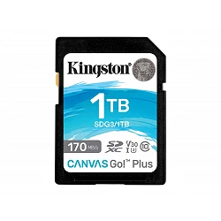 Kingston Canvas Go! Plus - Tarjeta de memoria flash