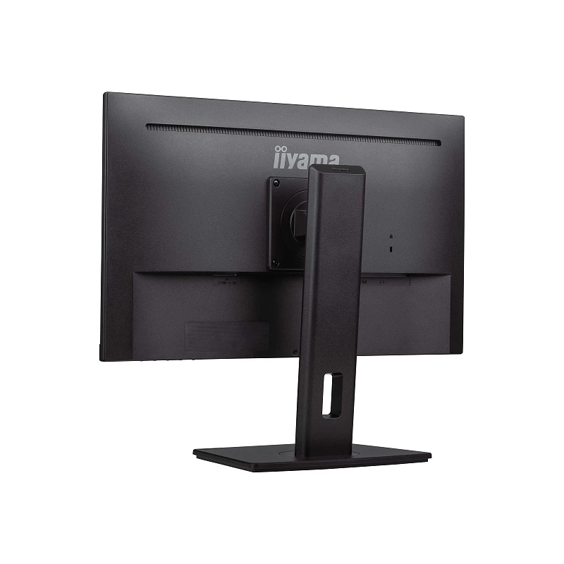 iiyama ProLite XUB2493HS-B6 - Monitor LED