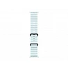 Apple - Correa para reloj inteligente - 49 mm, black titanium finish