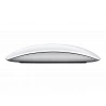 Apple Magic Mouse - Ratón - USB-C - multitáctil