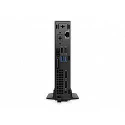 Dell OptiPlex 3000 Thin Client - Cliente ligero