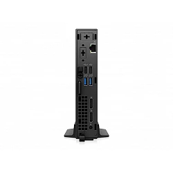 Dell OptiPlex 3000 Thin Client - Cliente ligero